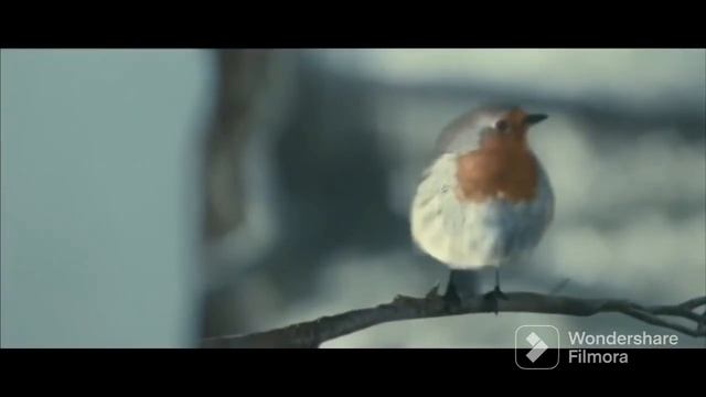 Рождественская сказка! Александр Гульстен-Толкачев. Авторская песнч смотреть онлайн