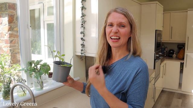 Grow FREE PLANTS in Water смотреть онлайн