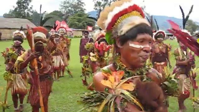 Goroka Show смотреть онлайн