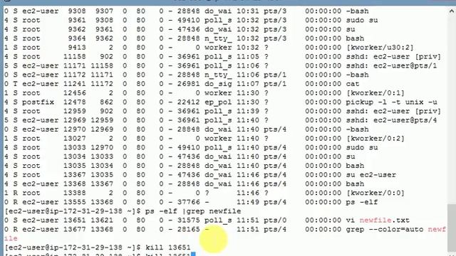 Linux Beginners Tutorials - PS and KILL commands with examples смотреть онлайн