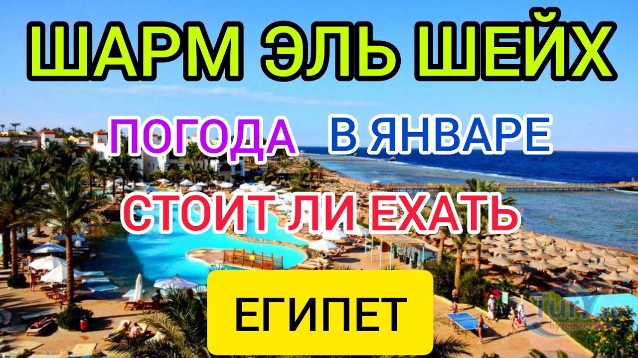 ?ШАРМ ЭЛЬ ШЕЙХ в Январе_ погода зимой в Египте. Стоит ли ехать в ЕГИПЕТ зимой в январе_.mp4 смотреть онлайн