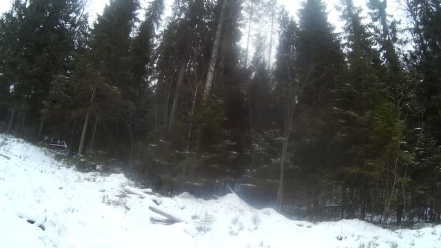 Трудовой зимний рябчик. смотреть онлайн
