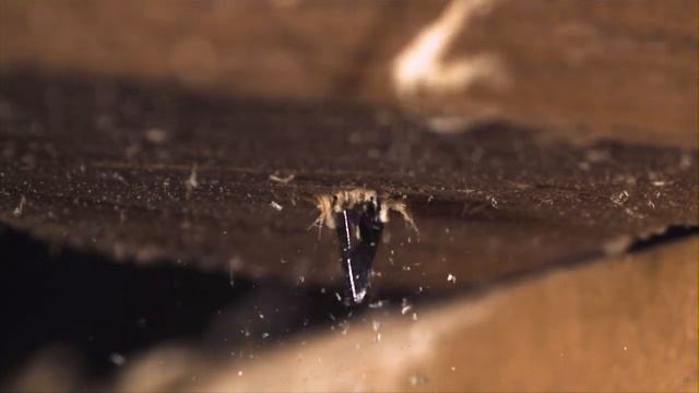 ПЕРОВОЕ СВЕРЛО В РАБОТЕ | ЗАМЕДЛЕННАЯ СЪЕМКА | 1000 FPS смотреть онлайн