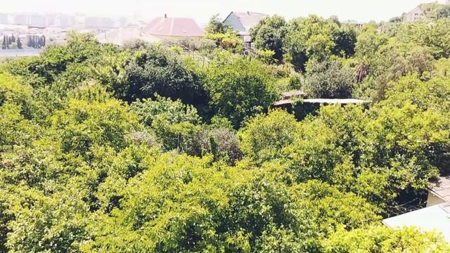 ЛУЧШЕЕ ДЛЯ ПМЖ ЦЕНА // КАЧЕСТВО? // НЕДВИЖИМОСТЬ В АДЛЕРЕ?? смотреть онлайн