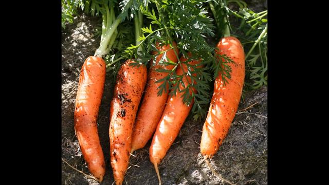Carrot Juice as Antioxidant, Eyesight, Vitamin A, Biotin, and Potassium смотреть онлайн