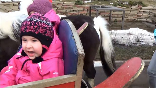 Саша катается на лошадке. смотреть онлайн