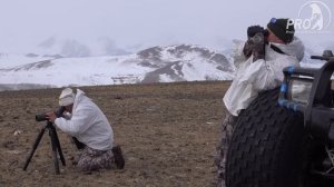 Охота на Памире. Часть 1. Аргали Марко Поло./ Hunt in Pamirs. Part #1. Marco Polo Argali.