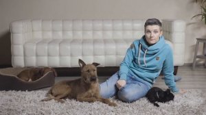 Как отучить собаку лаять дома?