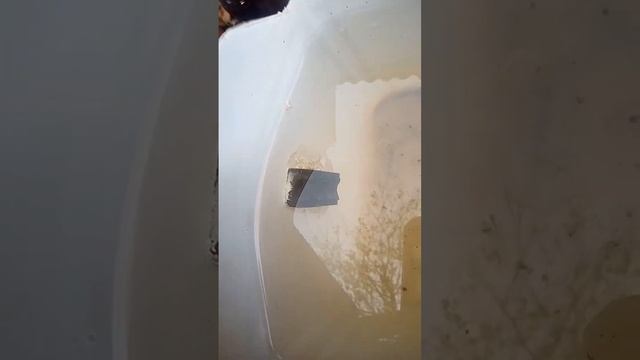 изготовление реактора щелочной и кислотной воды по Лачиняну.Начало. смотреть онлайн