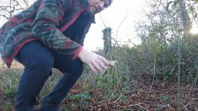 Camera Trapping & Wildlife Photography In My Local Woodland PART 1