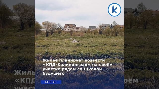 Активные жители Большого Исаково собирают подписи против многоквартирной застройки #shorts смотреть онлайн