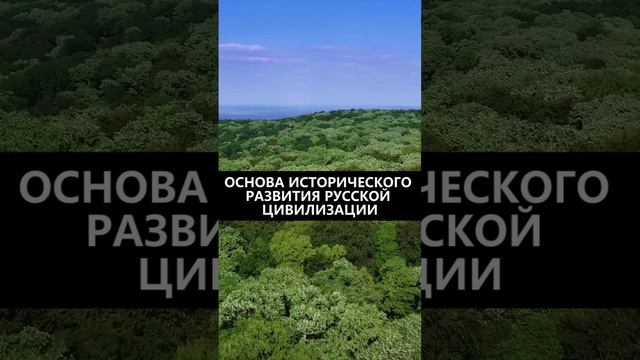 Основа исторического развития Русской Цивилизации смотреть онлайн