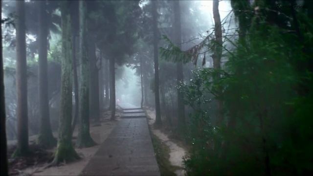 Zhangjiajie National Forest Park. China ★ Парк Чжанцзяцзе. Китай смотреть онлайн
