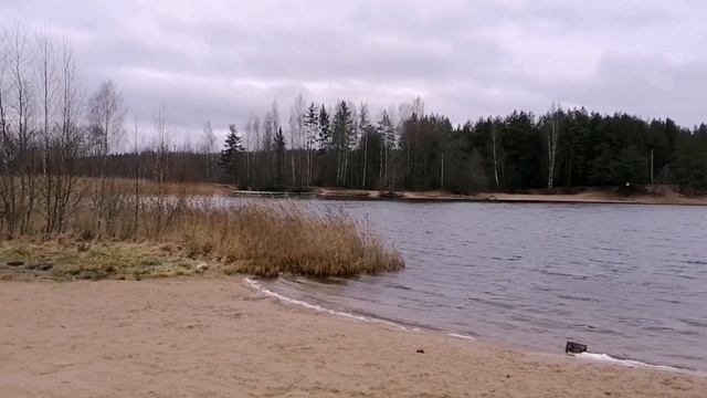 Встреча клуба форд мондео 4 СПб 27.11.21 смотреть онлайн