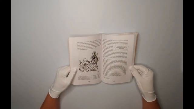 Мышцы. Как у вас дела? смотреть онлайн