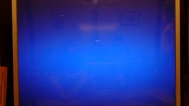 Review: Calvin Tucker's Redneck Jamboree for Wii Pt. 2 смотреть онлайн