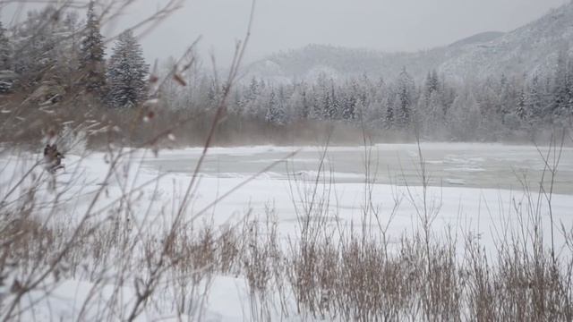 Снегоход V2.0