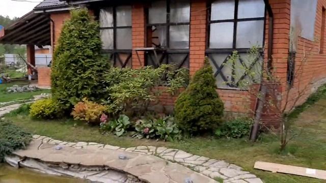 Влог: сад цветет/ждем дождя/подкармливаю розы, пионы и клубнику смотреть онлайн