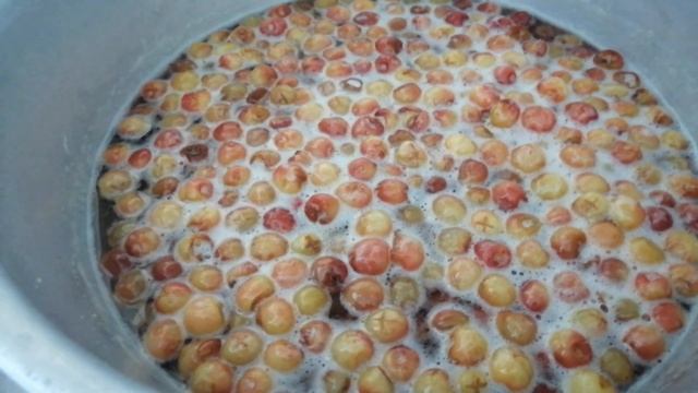 ЖИВЁМ В ДЕРЕВНЕ// Варенье из черешни//Янтарное// Очень вкусное. смотреть онлайн