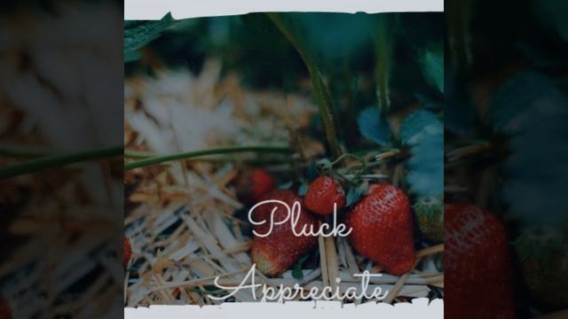 I Feel Groovy смотреть онлайн