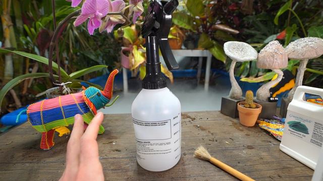 Long Lasting Spider Mite Solution! How to Get Rid of Spider Mites смотреть онлайн