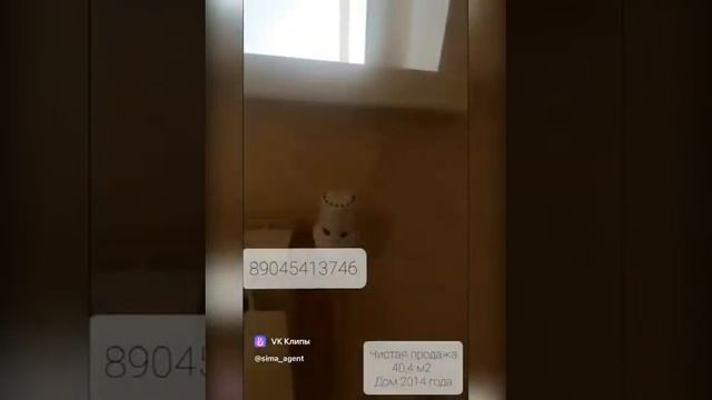 Квартира в доме 2014 года п.Кирпичный ул.Северные Ворота смотреть онлайн