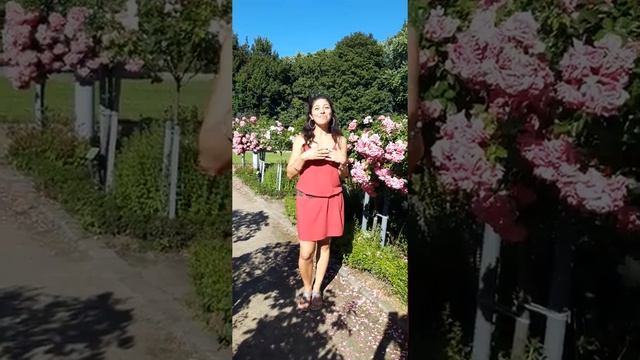 Йога-тур на Балтийское море - 9-13.9.2019 смотреть онлайн