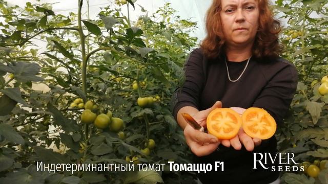 Томаццо F1 #River Seeds т.89081923283 смотреть онлайн