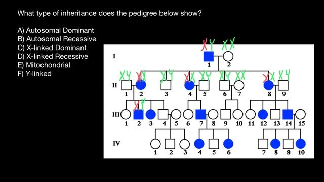 Inheritance Patterns Explained смотреть онлайн