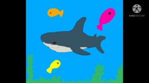 Акула туруру 🦈