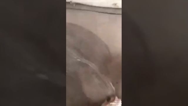 Как отмыть диван от пятен смотреть онлайн