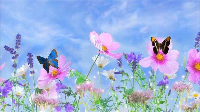 Lucid Dreaming Music смотреть онлайн