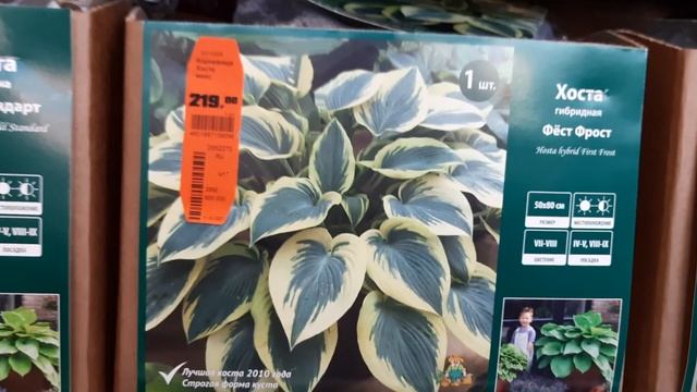 ОБИ ХОСТЫ смотреть онлайн