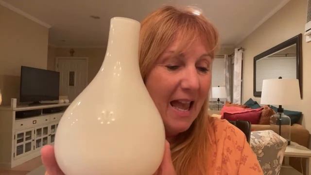 Holiday Economical Diffuser Gifts смотреть онлайн