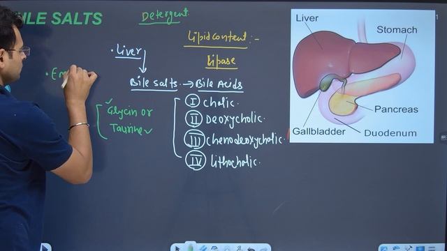 bile salt test in urine | bile salt test in urine hindi | Chandan Mlt | RanKplus смотреть онлайн