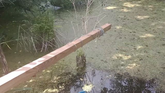 Экстренное орошение Огорода в Деревне .