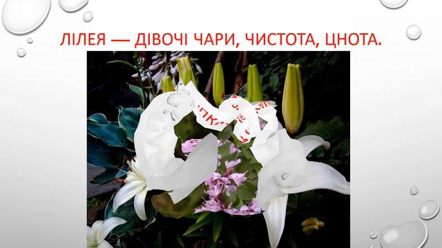 віночок.квіти у віночку. смотреть онлайн