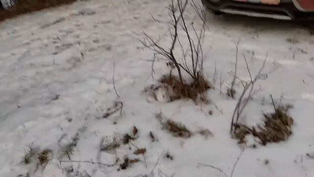 Легкий оффроад на ауди Q3 смотреть онлайн