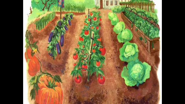 Готовим салат с детьми. смотреть онлайн