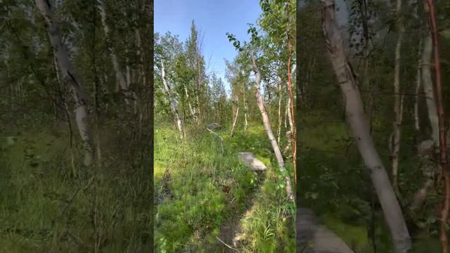 Тундра Россия Норильск смотреть онлайн