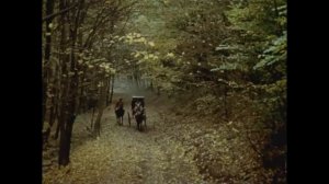 Фильм "Дуэнья" - Значит, вы не в меня влюблены?!