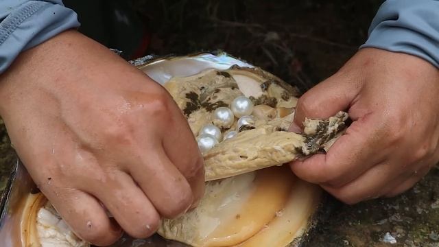 There is a pearl king in a large pearl river clam, which takes at least 100 years to form смотреть онлайн