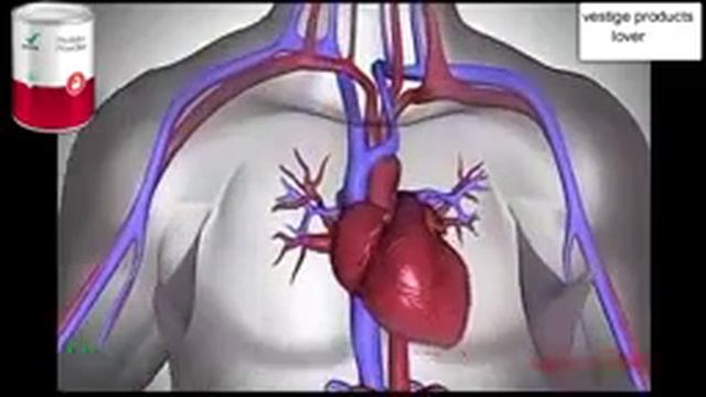 Jo gym karte h unke liye bahatreen h vestige ka protein powder смотреть онлайн