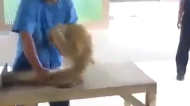 Тренер по фитнесу,первое занятие смотреть онлайн