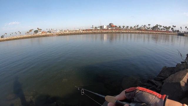 [ECOGEAR GRASS MINNOW] Fish on! *BIG* Spotted Bay Bass смотреть онлайн