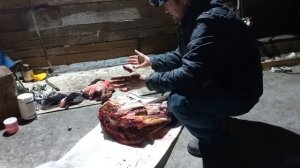 Бугай Алабай. Одна голова хорошо, а две  лучше.