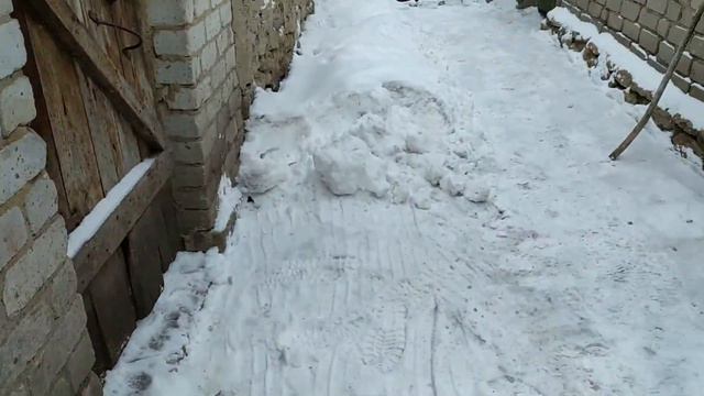 ЖИЗНЬ КОШЕК ЗИМОЙ И ЛЕТОМ В ДЕРЕВНЕ. THE LIFE OF CATS IN WINTER AND SUMMER IN THE VILLAGE. смотреть онлайн