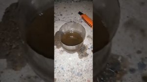 сетка бензонасоса,,съём бензонасоса с промывкой сетки great wall hover h6haval h 6