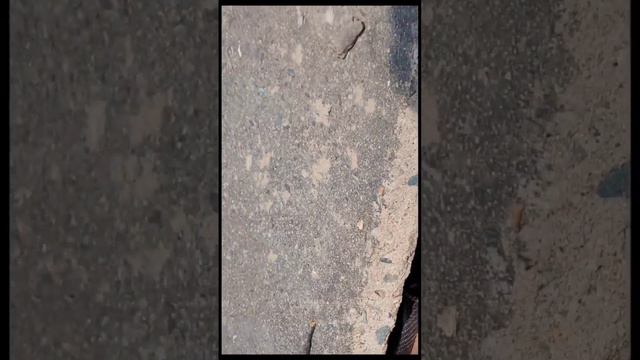 река Уссури смотреть онлайн