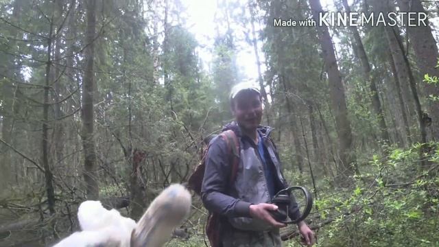 Работа Nokta Makro Anfibio Multi  по россыпи чешуи